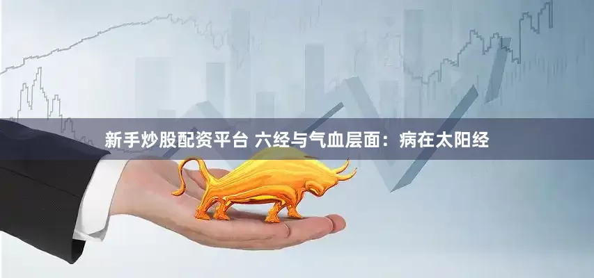 新手炒股配资平台 六经与气血层面：病在太阳经